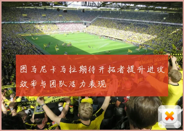 图马尼卡马拉期待开拓者提升进攻效率与团队活力表现