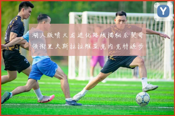 湖人版喷火龙进化路线揭秘东契奇领衔里夫斯拉拉维亚克内克特逐步崛起