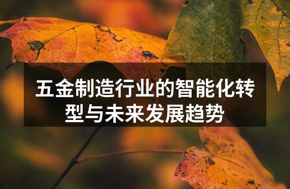 五金制造行业的智能化转型与未来发展趋势